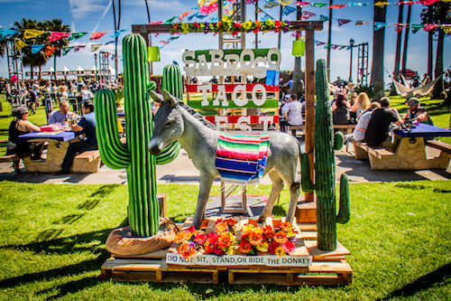 VIP donkey at Sabroso, photo by Lizzy Gonzalez